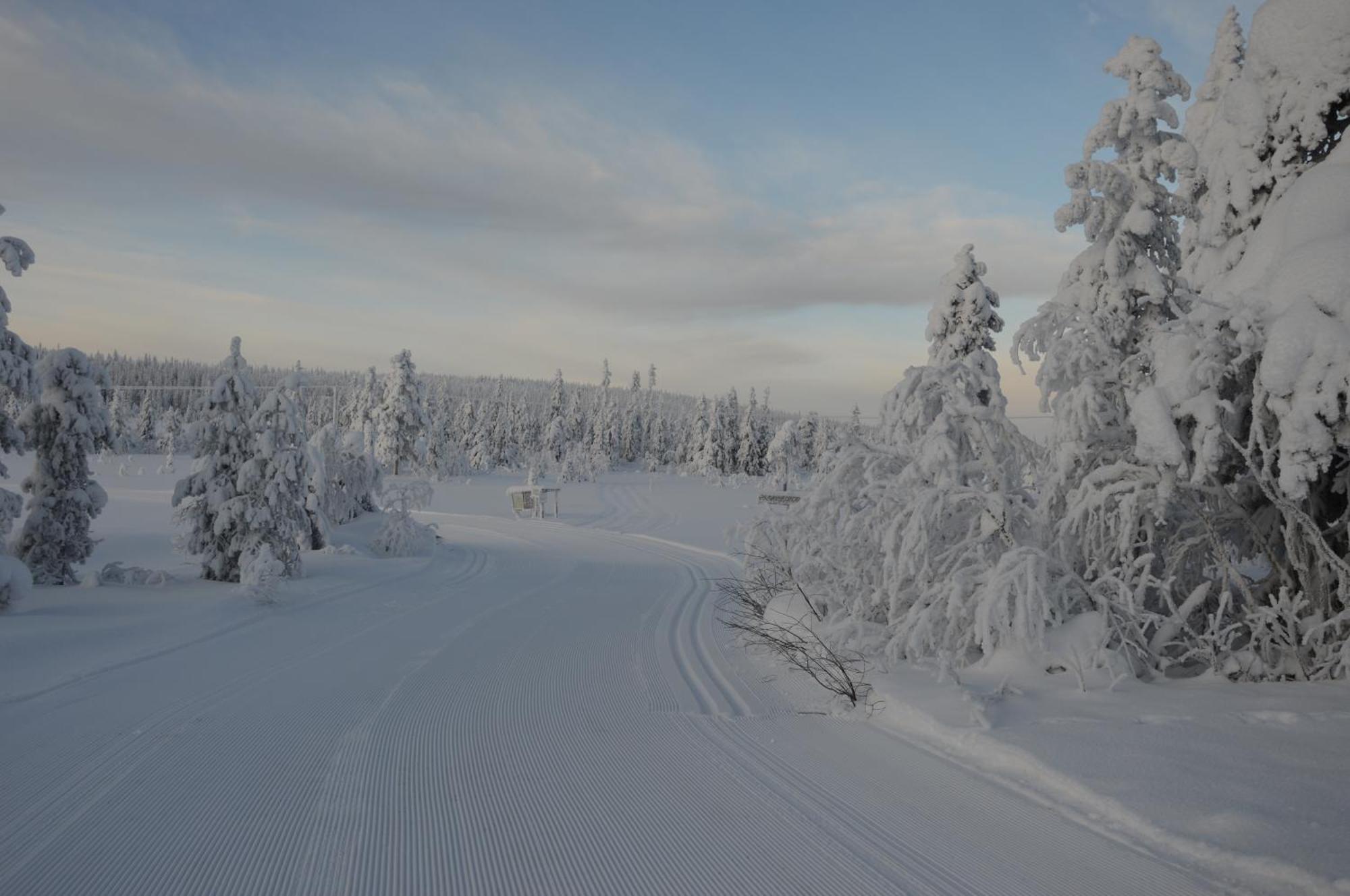 12 - Fulufjellets Nasjonalparker - Natur-, Dyre- Og Fugleopplevelser Ljørdal Exteriör bild