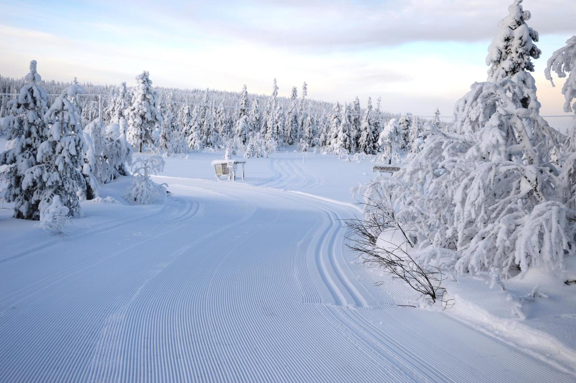 12 - Fulufjellets Nasjonalparker - Natur-, Dyre- Og Fugleopplevelser Ljørdal Exteriör bild