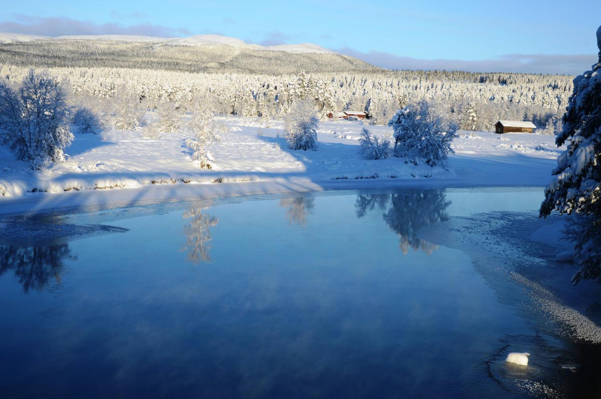 12 - Fulufjellets Nasjonalparker - Natur-, Dyre- Og Fugleopplevelser Ljørdal Exteriör bild
