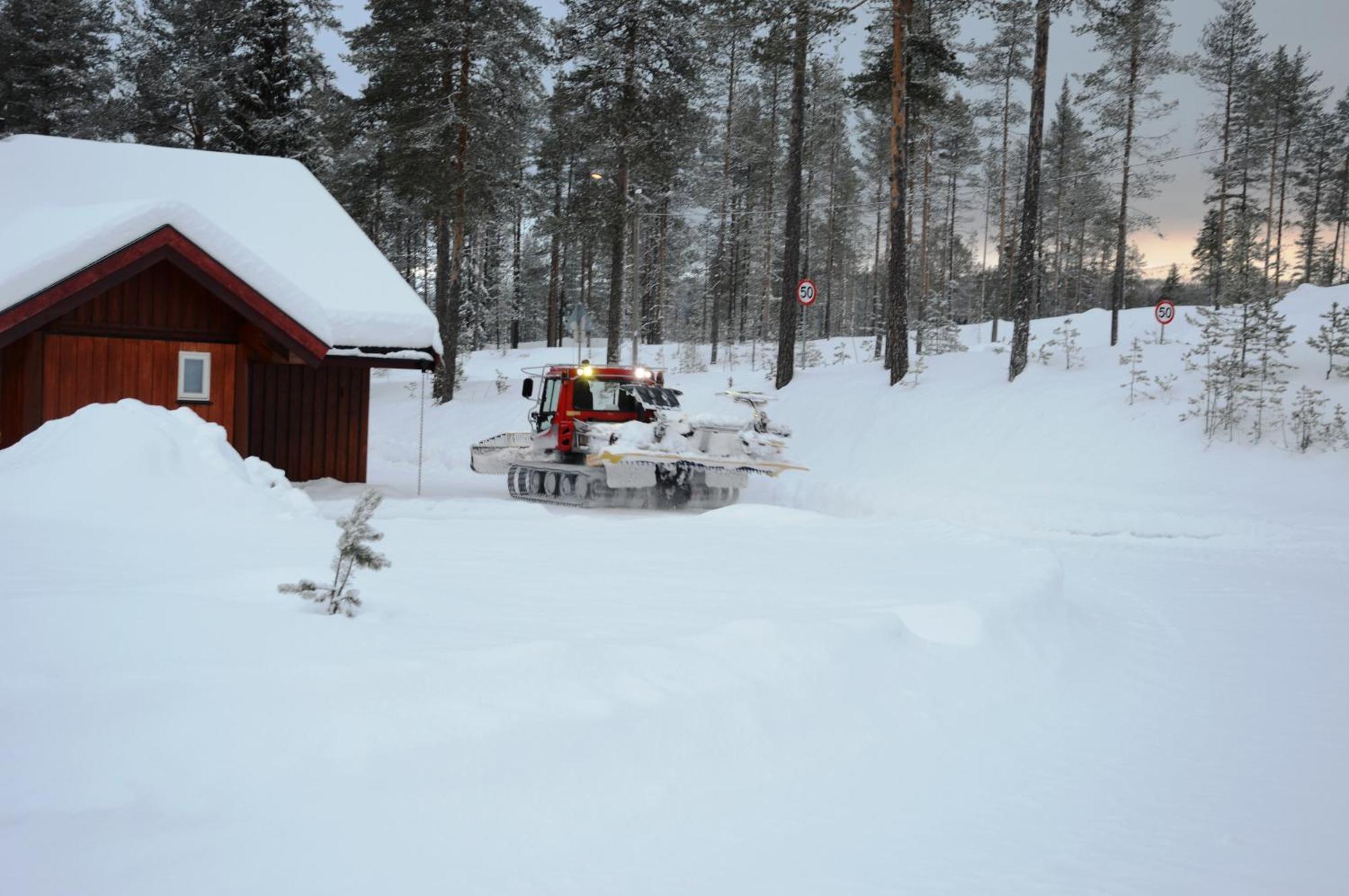 12 - Fulufjellets Nasjonalparker - Natur-, Dyre- Og Fugleopplevelser Ljørdal Exteriör bild