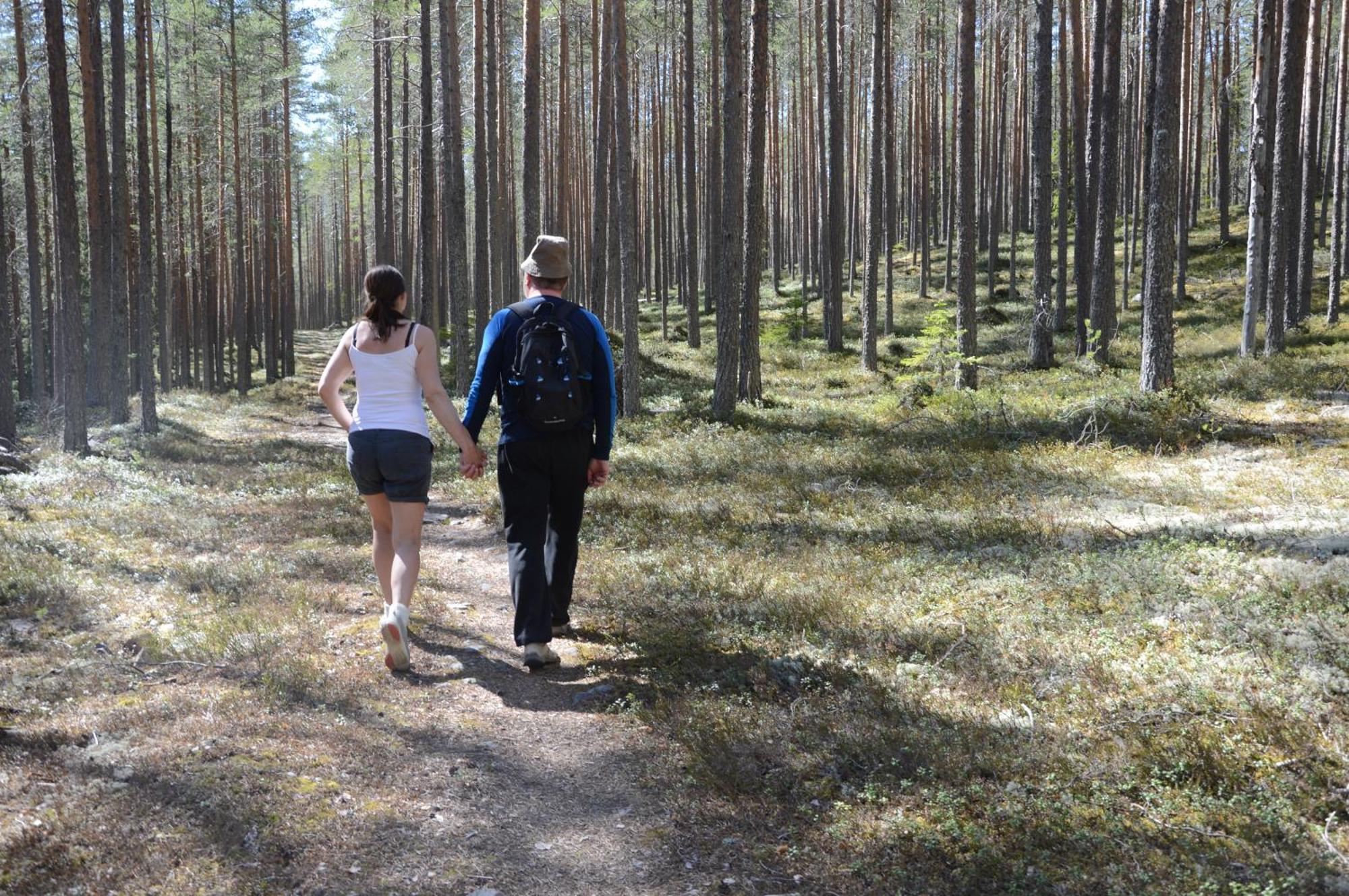 12 - Fulufjellets Nasjonalparker - Natur-, Dyre- Og Fugleopplevelser Ljørdal Exteriör bild
