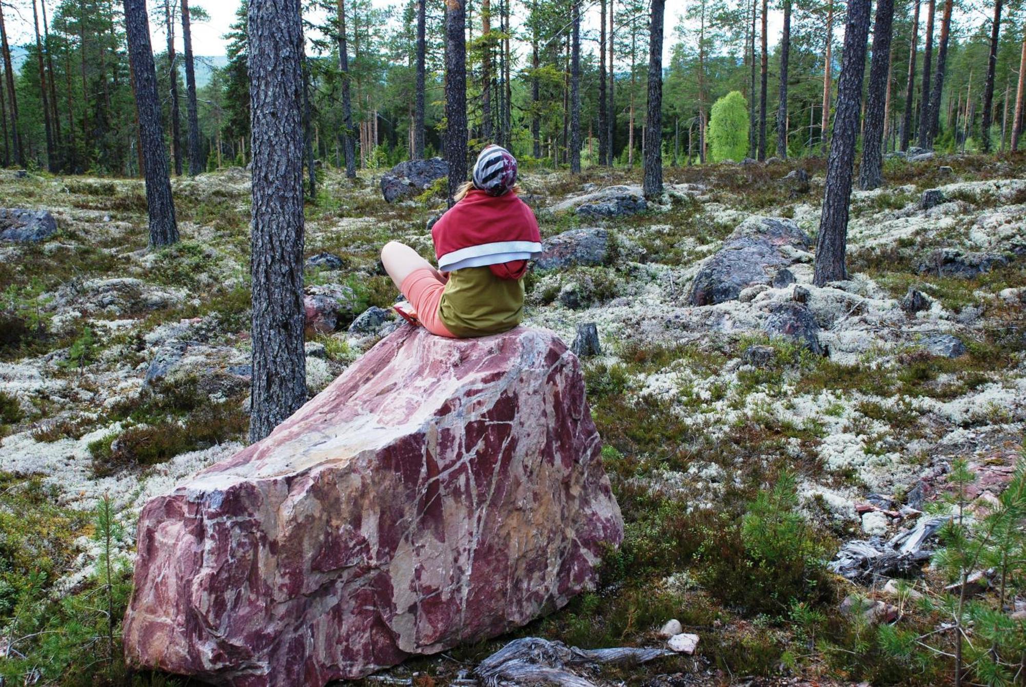 12 - Fulufjellets Nasjonalparker - Natur-, Dyre- Og Fugleopplevelser Ljørdal Exteriör bild