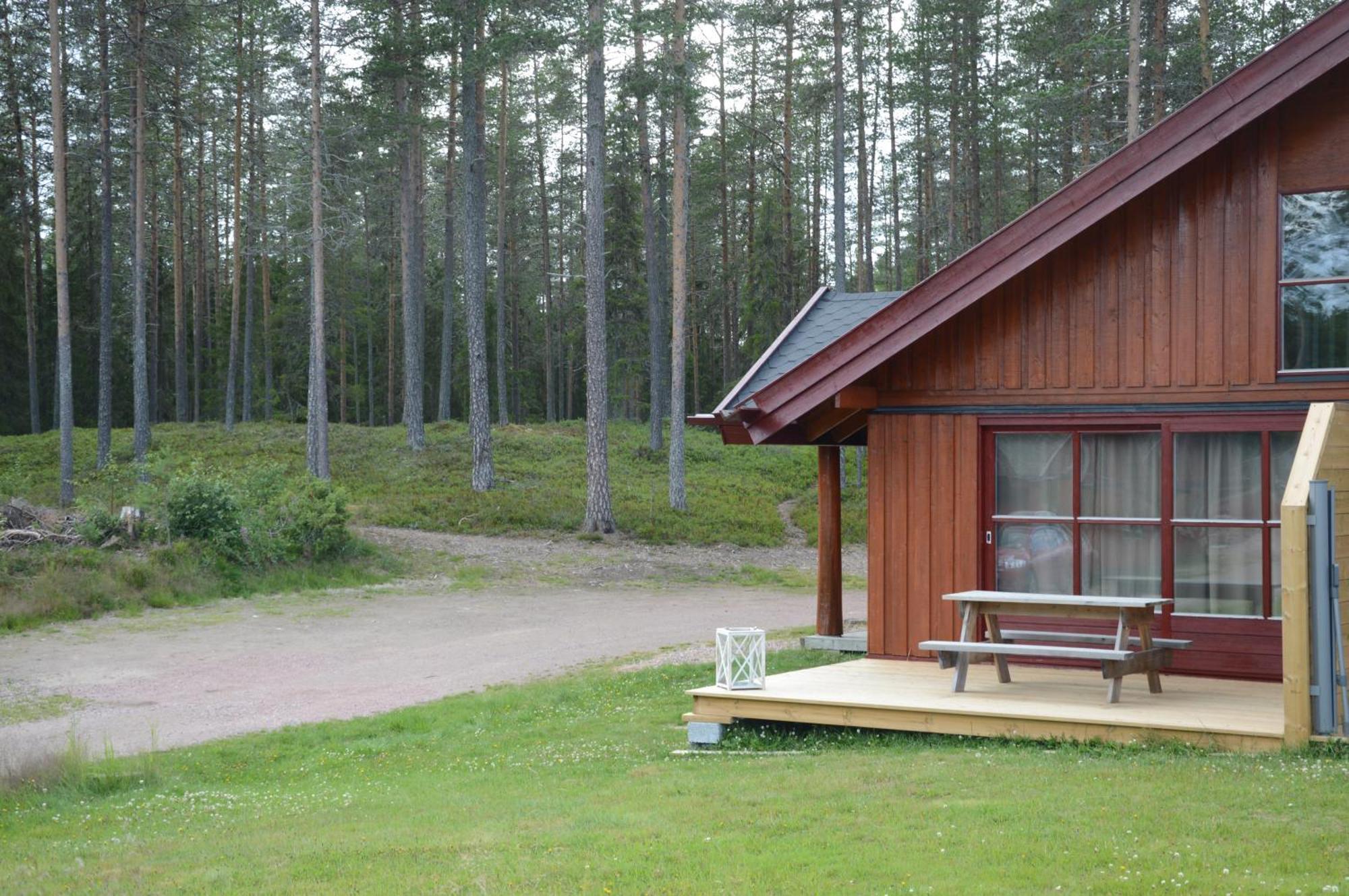 12 - Fulufjellets Nasjonalparker - Natur-, Dyre- Og Fugleopplevelser Ljørdal Exteriör bild