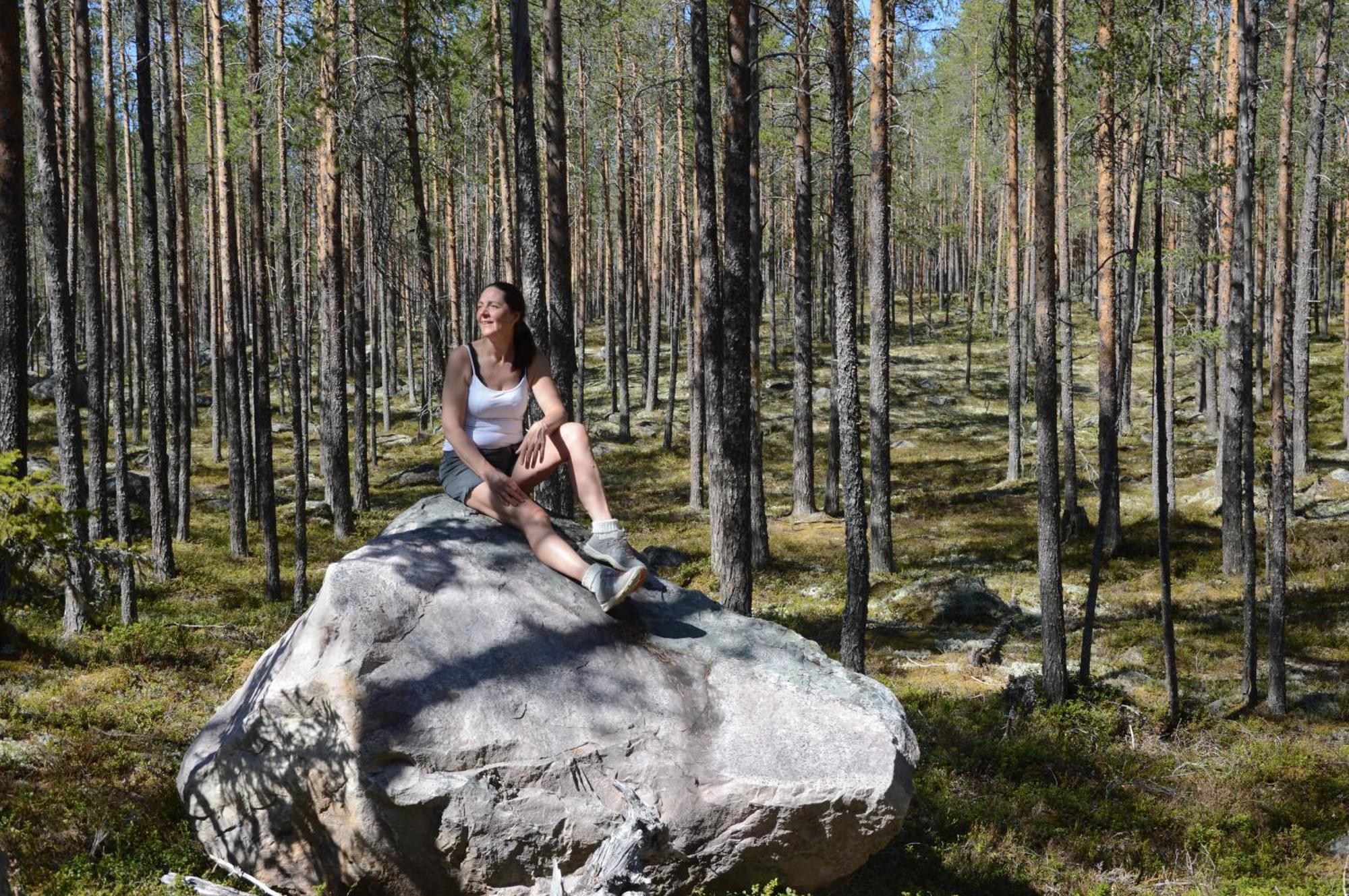 12 - Fulufjellets Nasjonalparker - Natur-, Dyre- Og Fugleopplevelser Ljørdal Exteriör bild