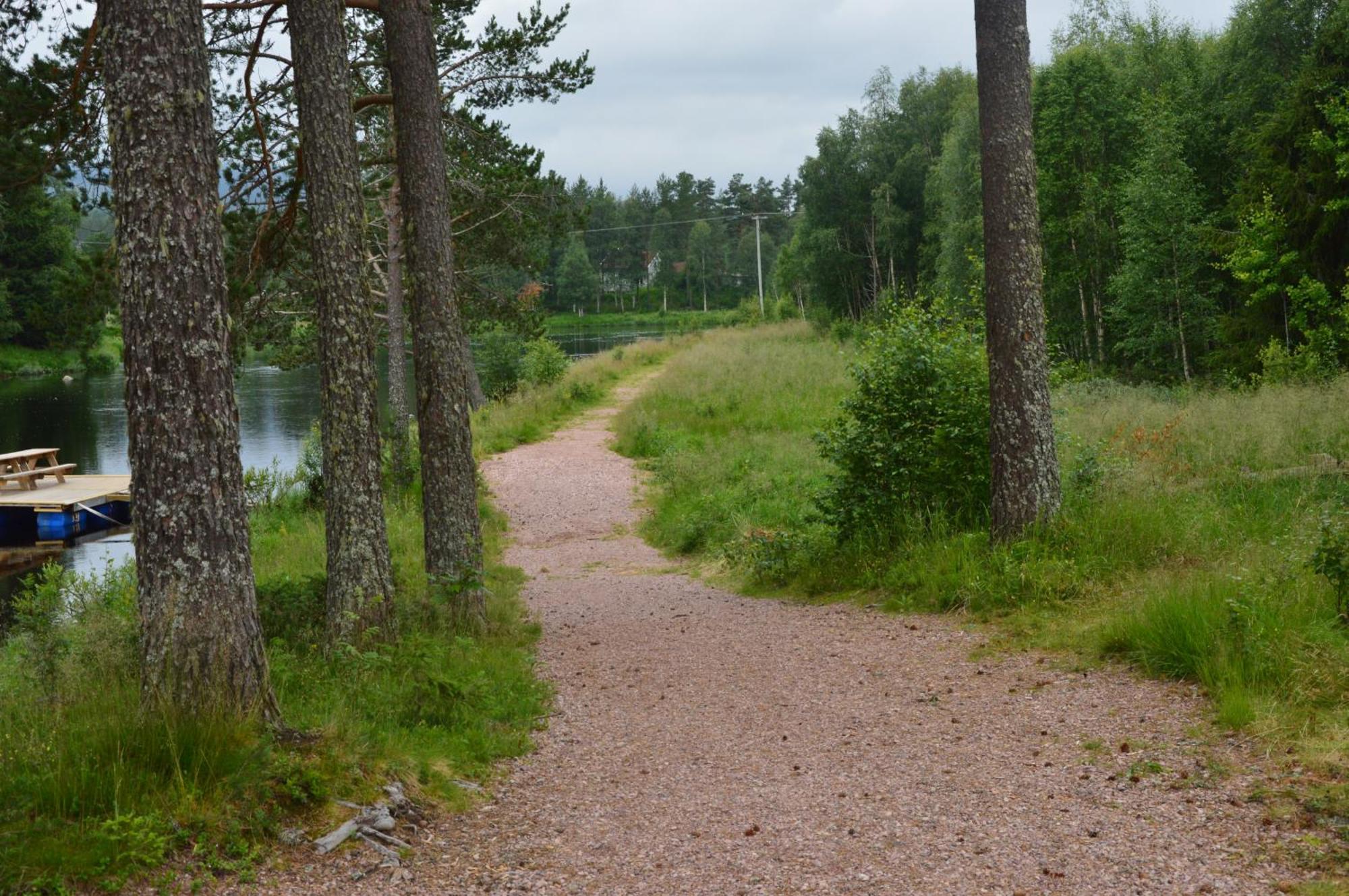 12 - Fulufjellets Nasjonalparker - Natur-, Dyre- Og Fugleopplevelser Ljørdal Exteriör bild