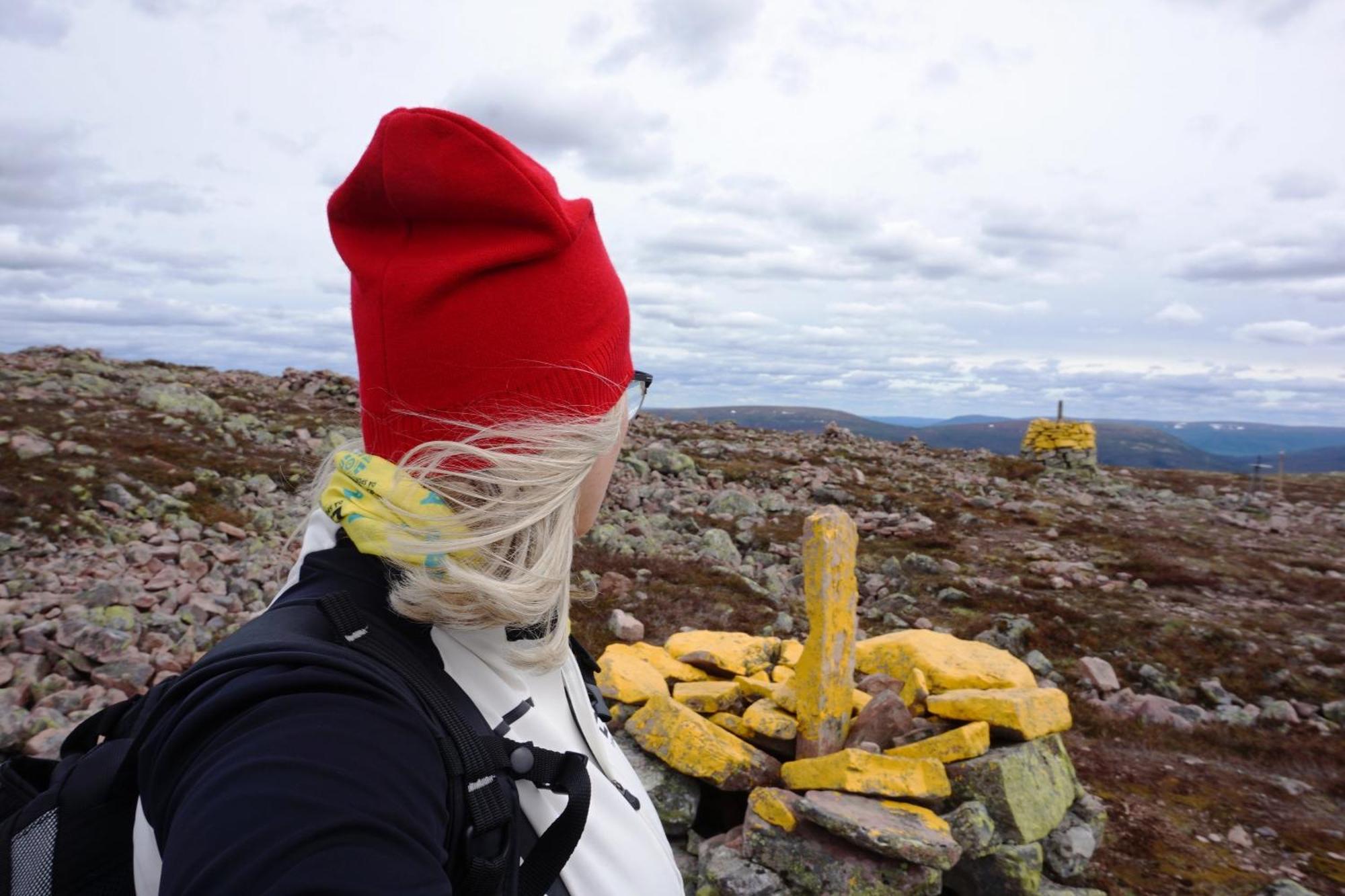 12 - Fulufjellets Nasjonalparker - Natur-, Dyre- Og Fugleopplevelser Ljørdal Exteriör bild