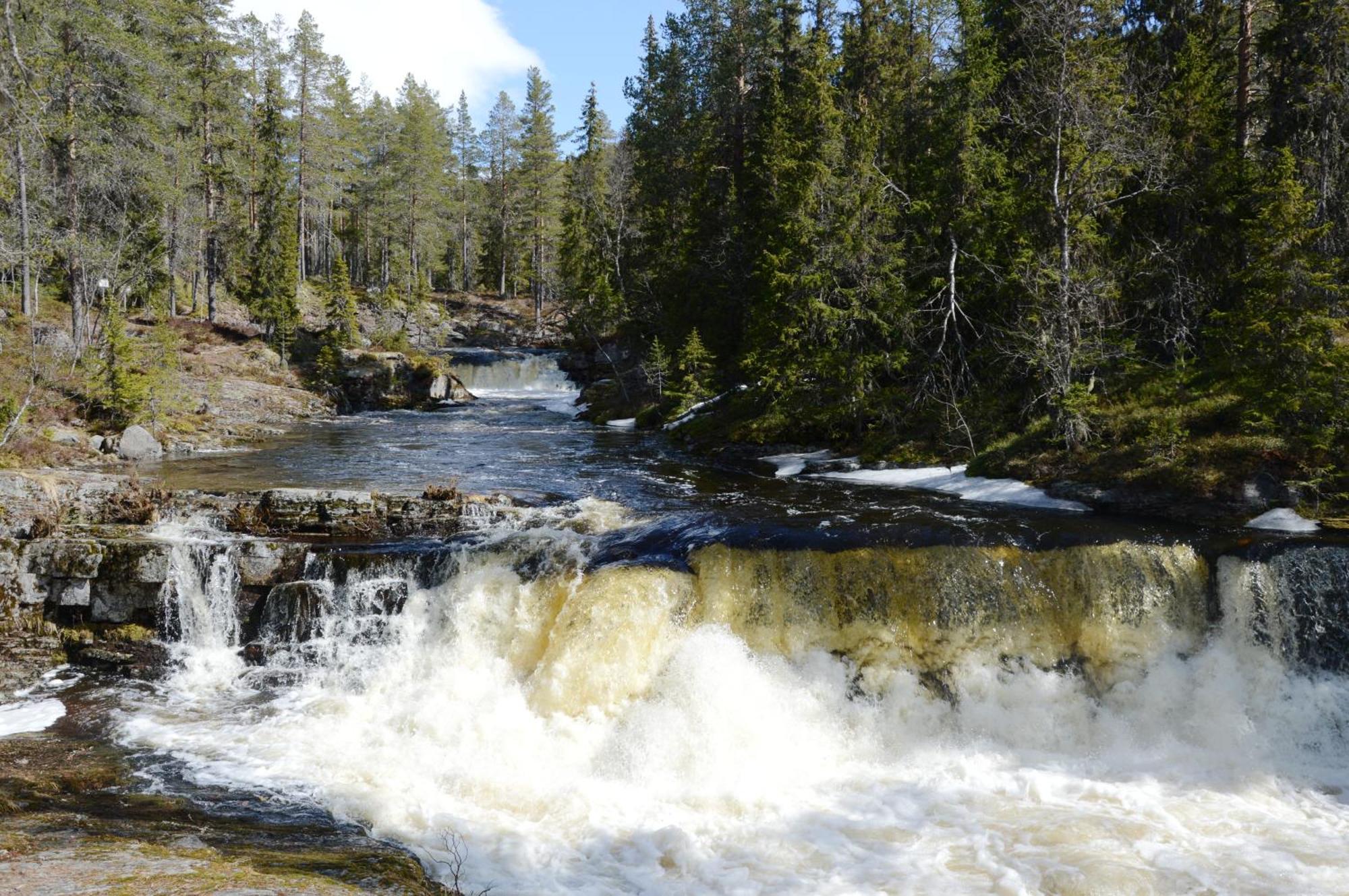 12 - Fulufjellets Nasjonalparker - Natur-, Dyre- Og Fugleopplevelser Ljørdal Exteriör bild