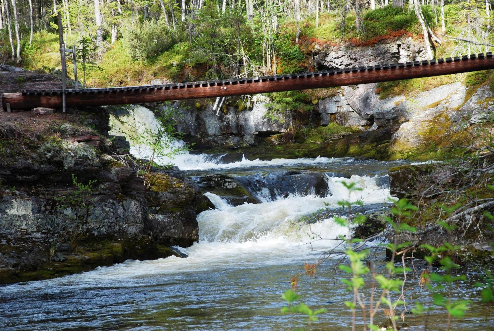 12 - Fulufjellets Nasjonalparker - Natur-, Dyre- Og Fugleopplevelser Ljørdal Exteriör bild