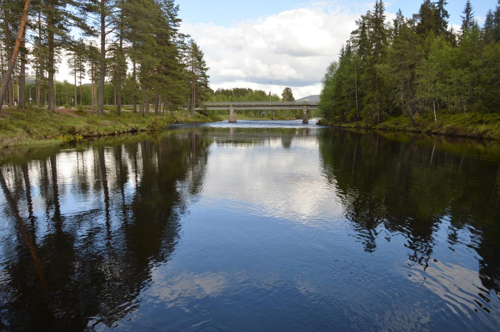 12 - Fulufjellets Nasjonalparker - Natur-, Dyre- Og Fugleopplevelser Ljørdal Exteriör bild