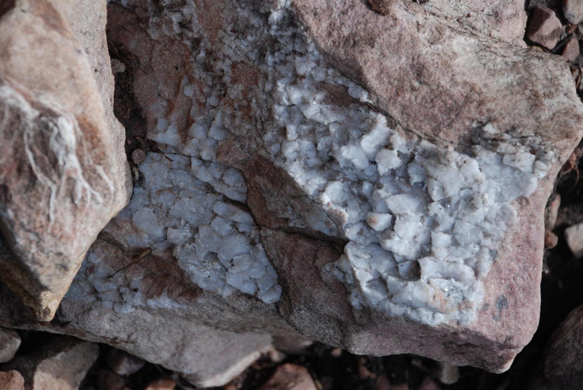 12 - Fulufjellets Nasjonalparker - Natur-, Dyre- Og Fugleopplevelser Ljørdal Exteriör bild